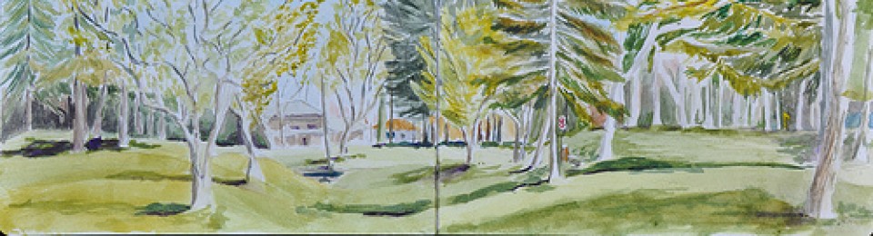 Elizabeth Gaye MacDonald, Plein Air Artist