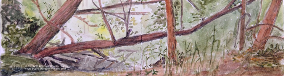 Elizabeth Gaye MacDonald, Plein Air Artist