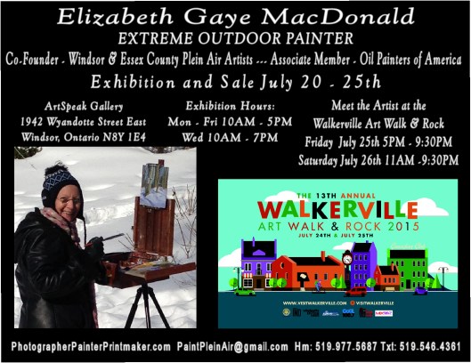 Solo Show Windsor & Region Arts Council, Art Speak Gallery during the Walkerville Art Walk & Rock