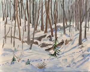 Through the Ravine at Ann's  8 x 10 Oil on Ampersand panel$275 framed. 